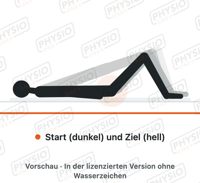 Vorschau: Beckenbrücke für Hüfte und Knie (Bridging)