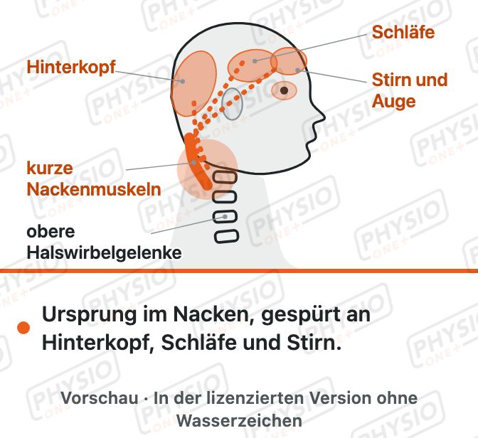Vorschau: Kopfschmerz vom Nacken